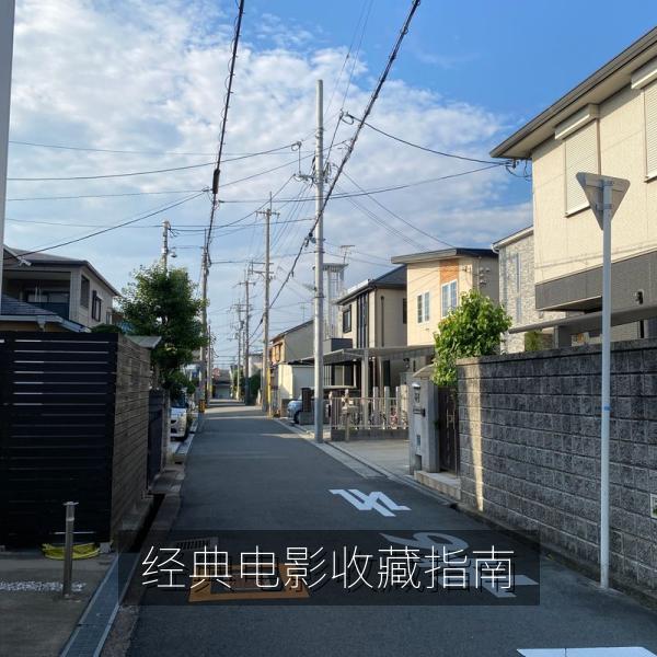 经典电影收藏指南