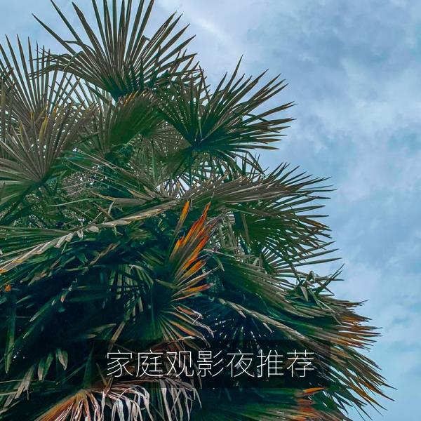 家庭观影夜推荐