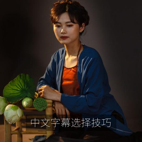 中文字幕选择技巧